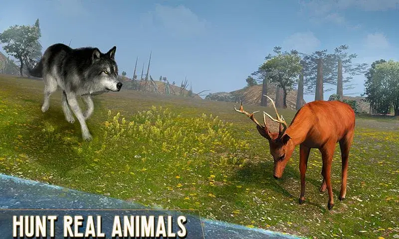 Scary Wolf  Online Multiplayer Game